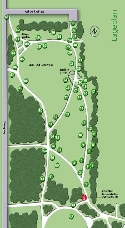 » Übersichtsplan - Arboretum